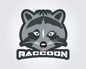 Raccoon Vector 