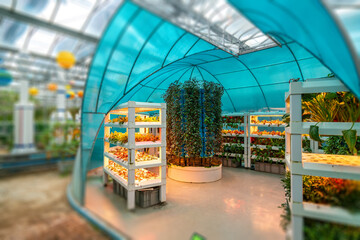 Shouguang ecological vegetable greenhouse interior scene