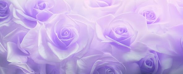 Abstract soft and dreamy purple rose background