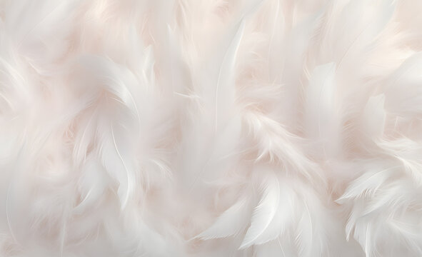 Fototapeta Delicate luxury white fur background. Soft dreamy macro feather textured background