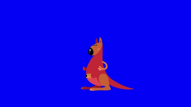 Kangaroo dam cartoon animal animation character greenbox loop. Seamless loop jump on blue background good for any australian scene. Animal with a baby.