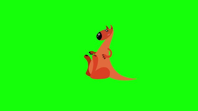 Kangaroo tom cartoon animal animation character greenbox loop. Seamless loop jump on green background good for any australian scene.