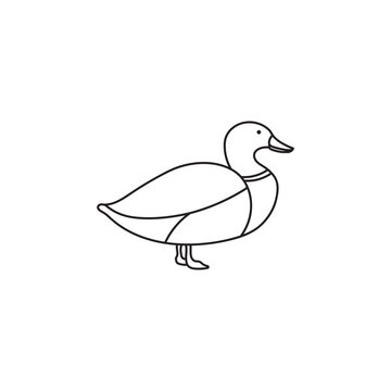 Hand drawn Kids drawing Cartoon Vector illustration cute wild duck mallard icon Isolated on White Background