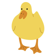 Duck Yellow Single 47 cute on a white background, vector illustration