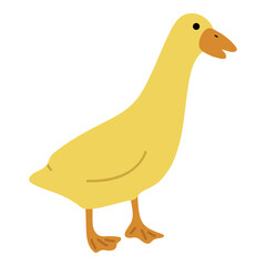 Duck Yellow Single 44 cute on a white background, vector illustration