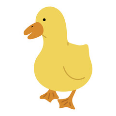 Duck Yellow Single 24 cute on a white background, vector illustration