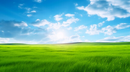 Fototapeta na wymiar Banner, green grass field and blue sky with clouds. Organic background. Copy space. Generative AI