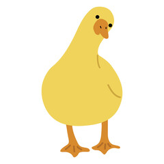 Duck Yellow Single 29 PNG