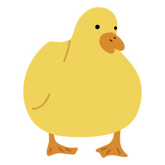 Duck Yellow Single 28 PNG