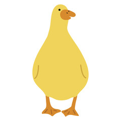 Duck Yellow Single 22 PNG