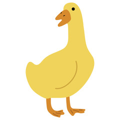 Duck Yellow Single 18 PNG