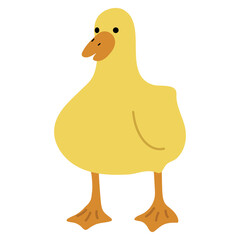 Duck Yellow Single 17 PNG