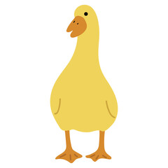 Duck Yellow Single 13 PNG