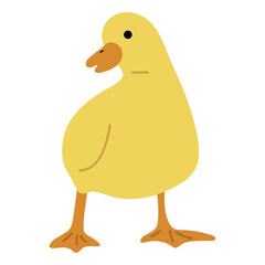 Duck Yellow Single 15 PNG