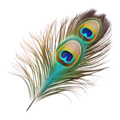 Fotobehang peacock feather isolated on transparent background cutout © Papugrat