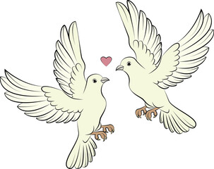pair of doves flying affectionately
