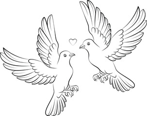 Obraz premium pair of doves flying affectionately