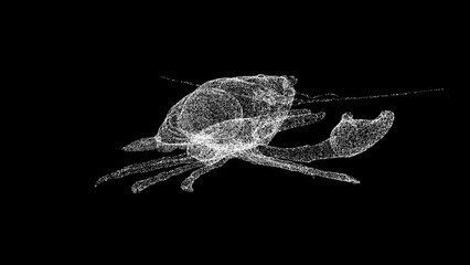 3D cryfish rotates on black bg. Restaurant delicacy. Seafood market. Wild animals concept. For title, text, presentation. Object made of shimmering particles. 3d animation 60 FPS