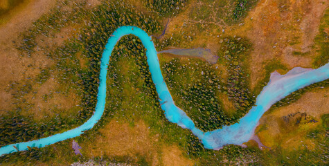 Aerial view of green river meander in yellow forest vegetation of delta