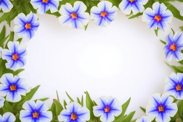 Azure blue pimpernel floral frame with white copy space at the center. Botanical banner, invitation design