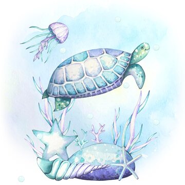 Watercolor composition with a turtle and seaweed on white background. Blue and turquoise colors.