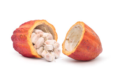 Fresh cocoa pod cut in half  isolated on white background.