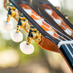Close-up of the guitar head of a classical guitar with gold pegs. Part of a classical guitar on a...