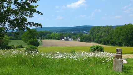 Magnificent overview of the landscape in Europe during the summer from a high point in the Sauerland