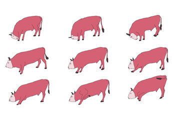 Collection of bulls, on a white background. Vector illustration for creating animated videos.