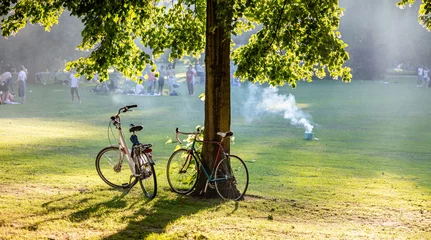Fototapeten People enjoy picnic on grass at park in Rotterdam destination Netherlands. Bike parked at tree. © Rawf8