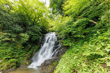 福岡県にあるマイナスイオンたっぷりの滝（糸島　白糸の滝）