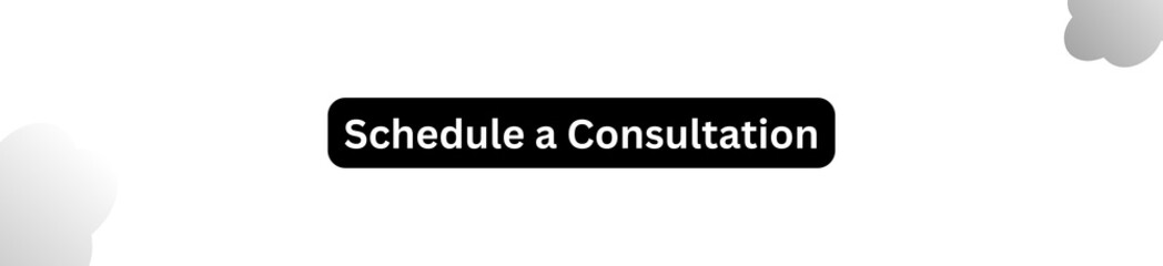 Schedule a Consultation Button for websites, businesses and individuals