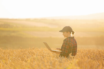 Woman farmer working with laptop on wheat field. Smart farming and digital agriculture..