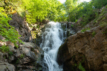 natural waterfall flows in the forest