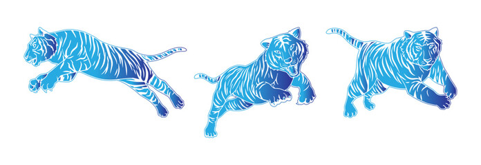 illustration of a tiger's  vector image with blue gradations consisting of three images