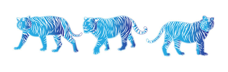 illustration of a tiger's  vector image with blue gradations consisting of three images