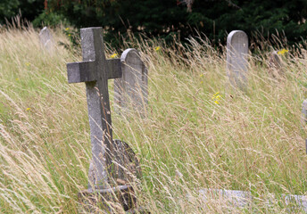 Brompton cemetery in London UK. Picturesque old cemetery in summer day.  