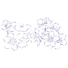 Continuous line drawing of beautiful spring flowers with pollen, floral background. Hand drawn, vector illustration
