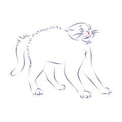 Continuous line drawing of a scared cat. Hand drawn, vector illustration