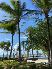 Mauritius © Harry Hirsch