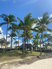 Mauritius © Harry Hirsch