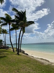 Mauritius © Harry Hirsch