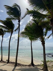 Mauritius © Harry Hirsch