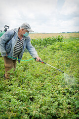 A man sprays potatoes from Colorado potato beetles