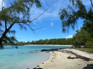 Mauritius © Harry Hirsch