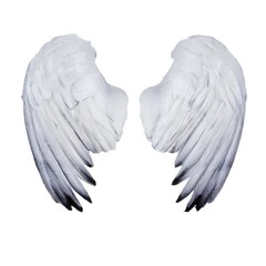 White angel wings isolated on white Background. Generative AI