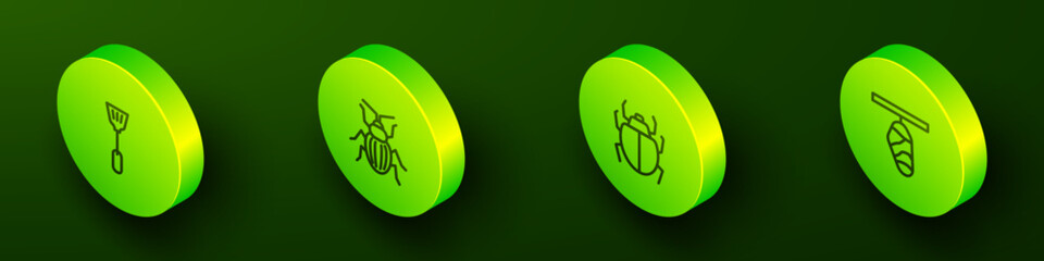 Set Isometric line Fly swatter, Chafer beetle, Mite and Butterfly cocoon icon. Vector