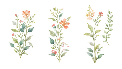 Watercolor small flower illustration minimal style on transparent background,generative ai