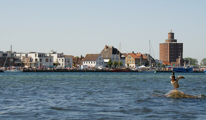 Eckernförde