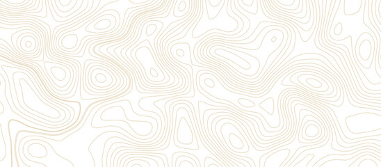Panorama view gradient multicolor wave curve lines banner background design. Vector illustration. Line topography map contour background .Abstract Topographic map background with wave line.